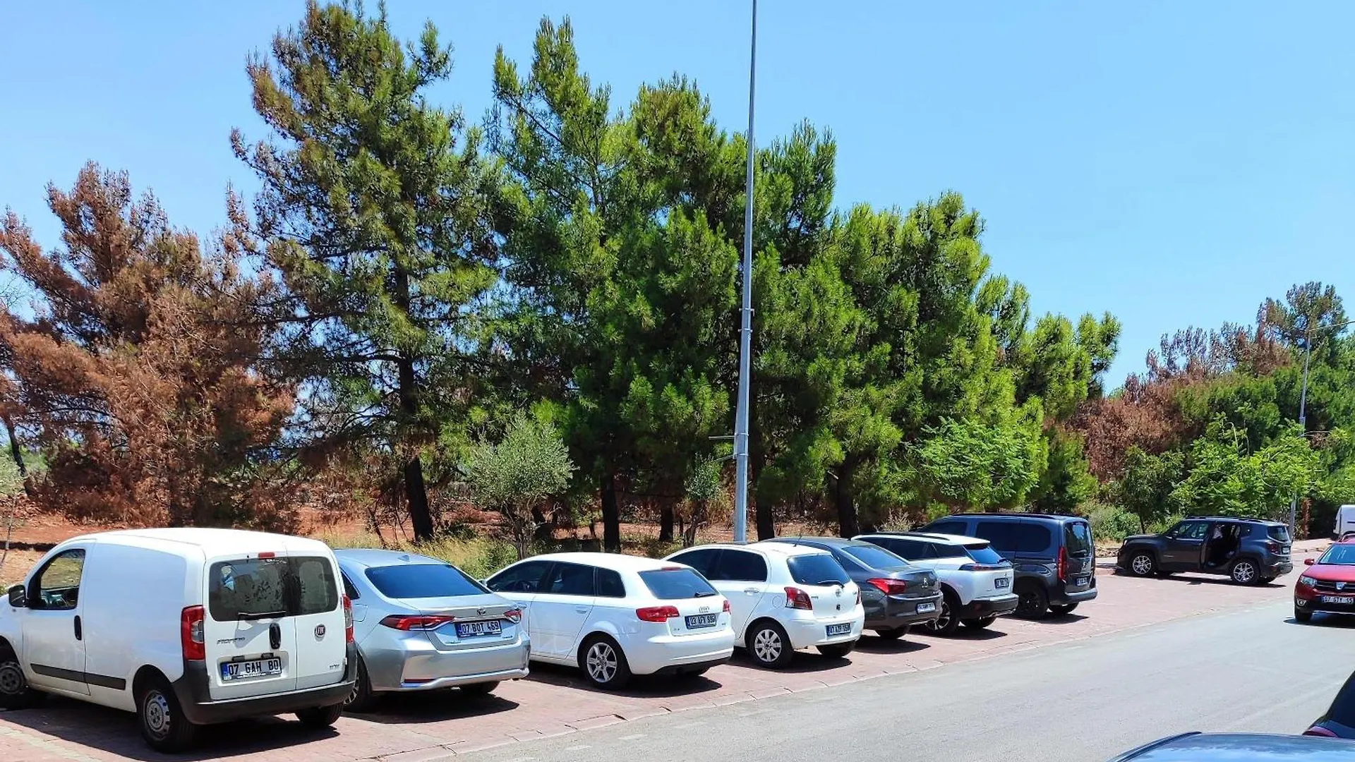 Rega Otel Antalya